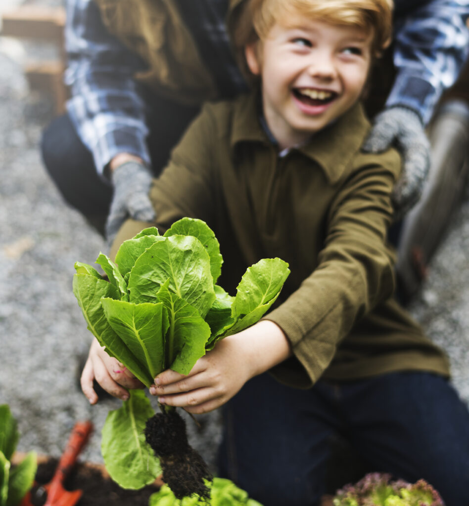 Family picking vegetable from backyard garden